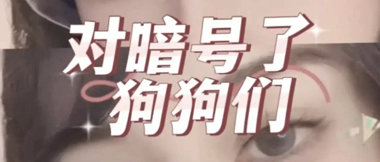 【西檬之家】DS关系入门指南：探索健康BDSM关系