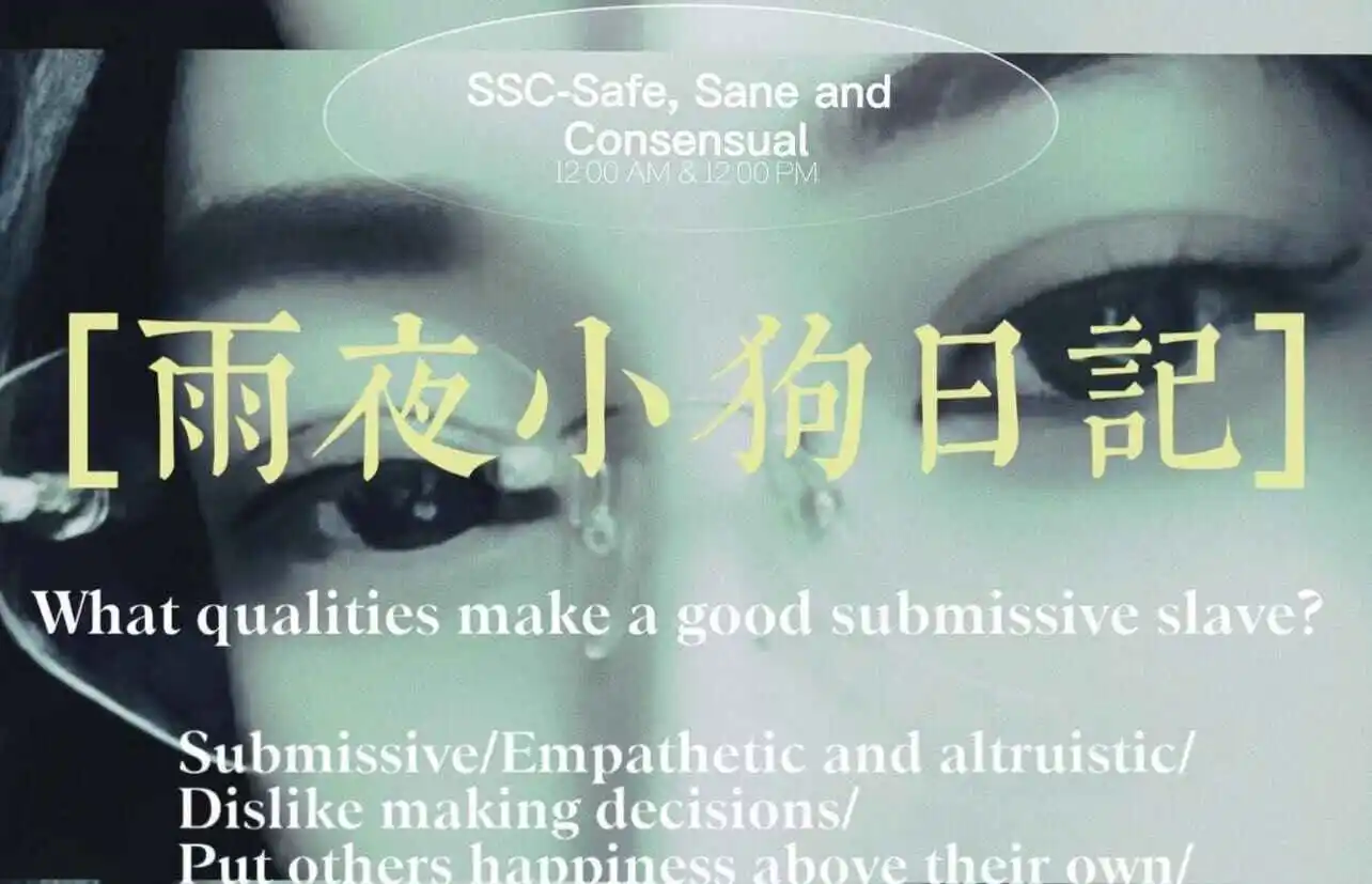 西檬之家-K8是什么：理解字母圈猫系文化与角色解析