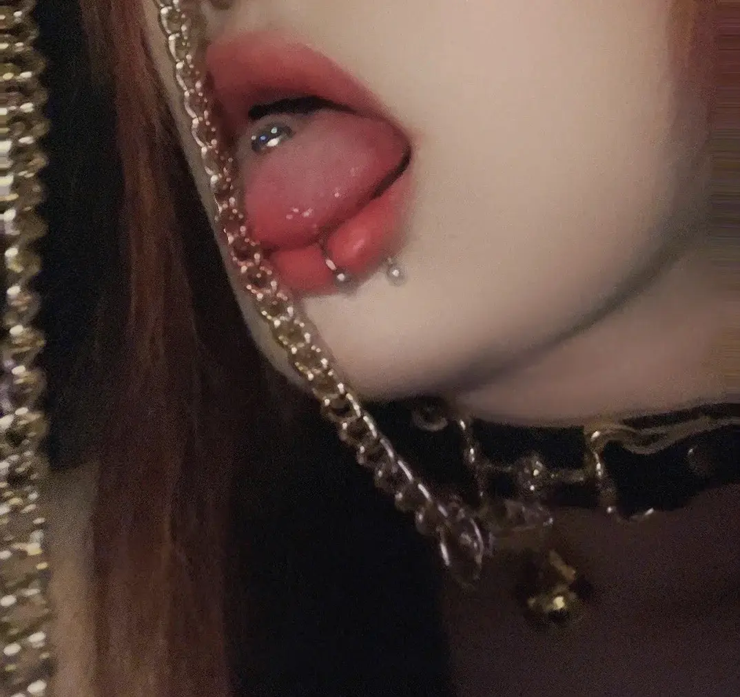 【西檬之家】K8猫系新人指南：解析Dom与Sub的互动边界