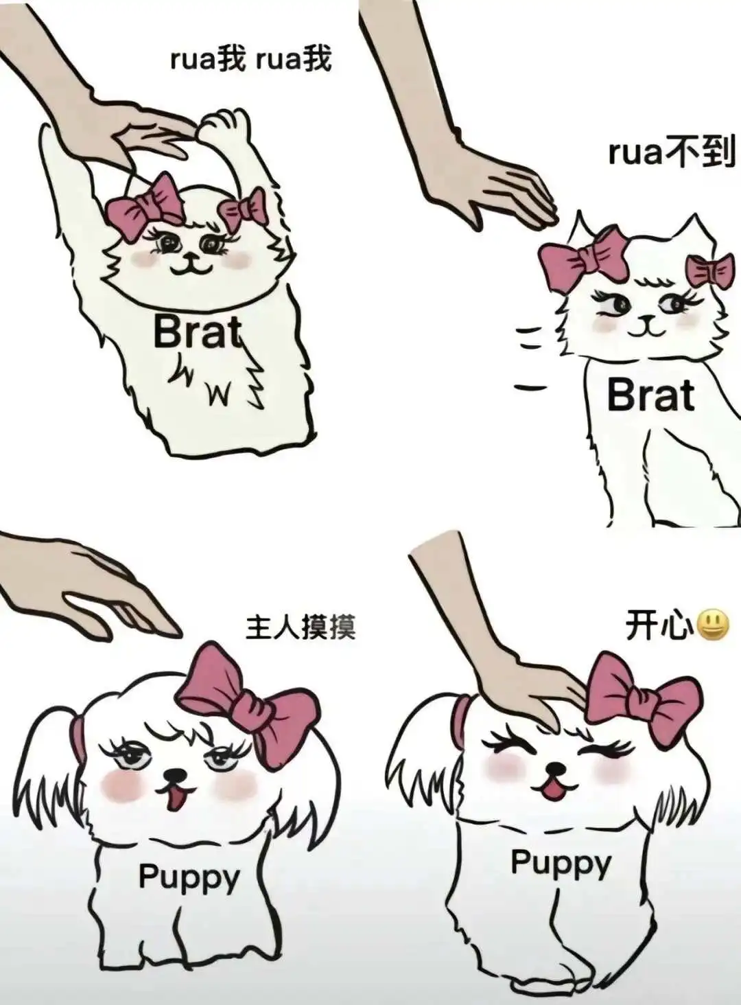 西檬之家-字母圈DOM是什么意思？