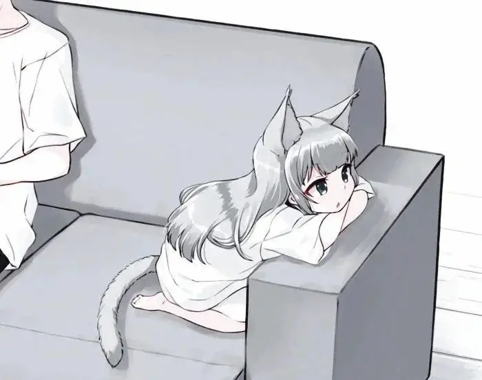 【西檬之家】K8猫系是什么意思？BDSM圈新人术语指南