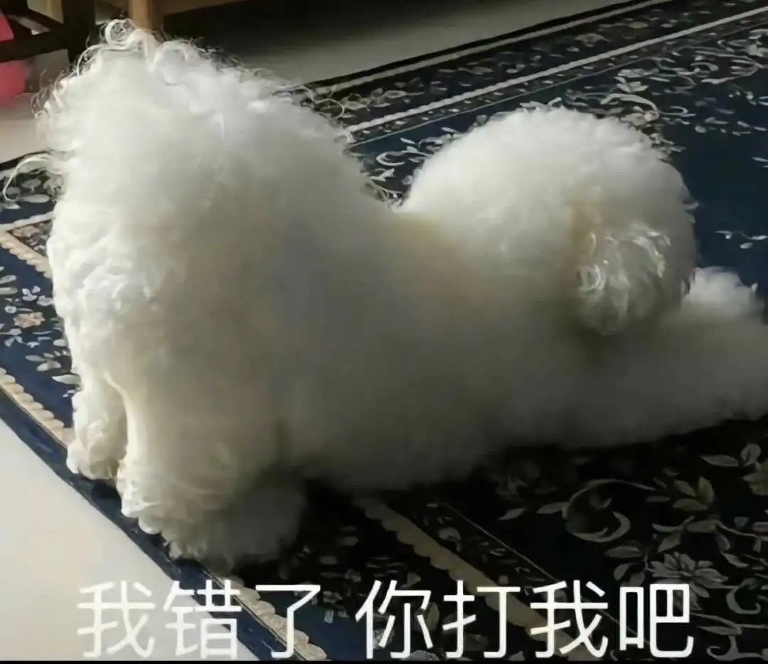 【西檬之家】-字母圈的Brat属性是什么？新手指南