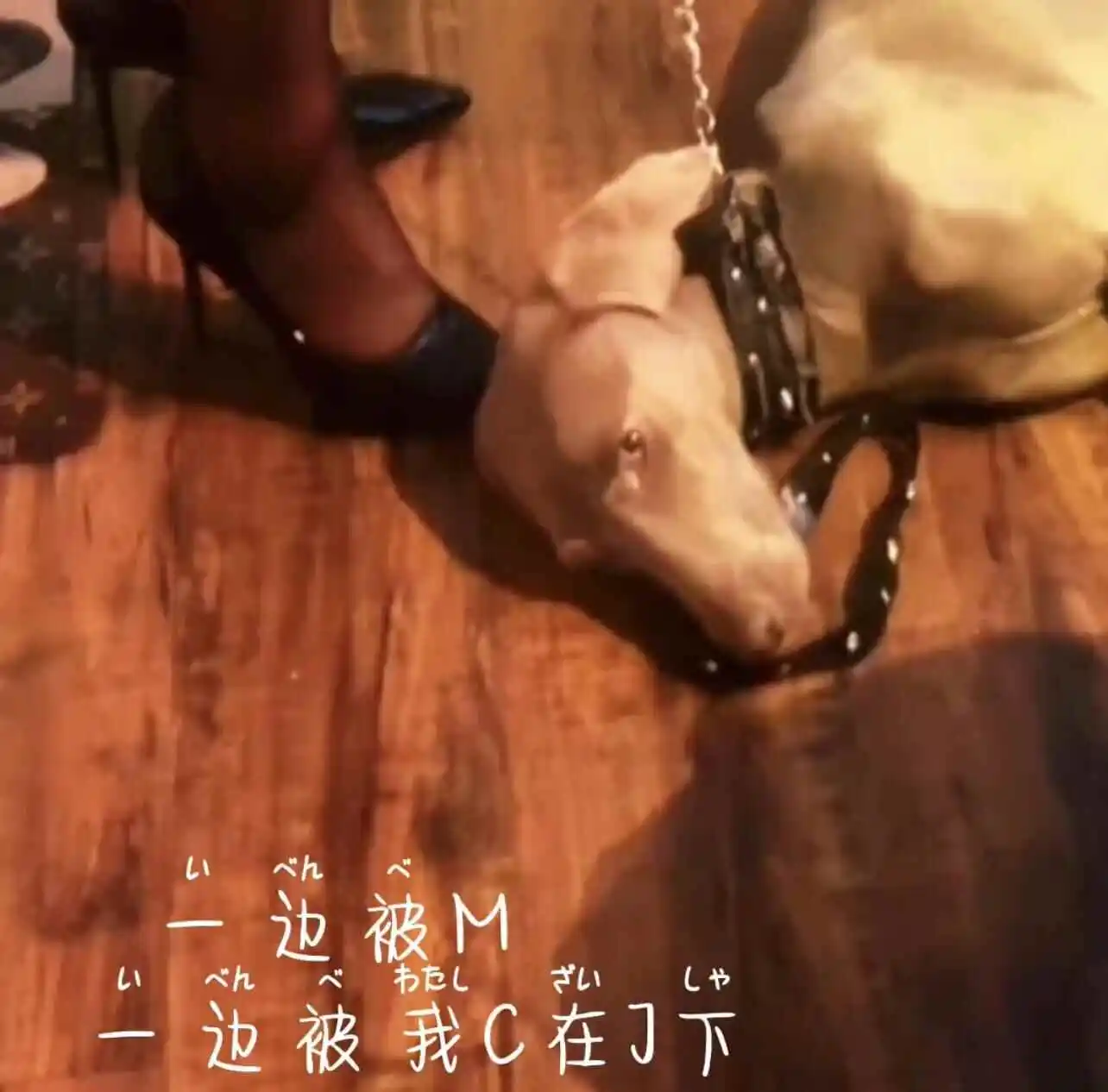 【西檬之家】BDSM字母圈中的OTK是什么意思？