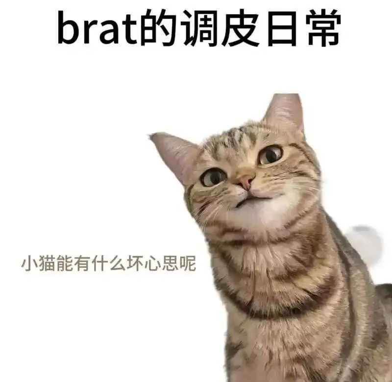 西檬之家-字母圈DT是什么？BDSM新人入圈指南