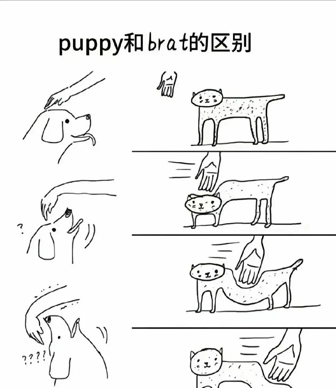 西檬之家-初入字母圈必知Sp实践指南